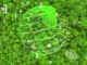 Saving the Planet: We Need to Speed Up the Rescue, Blockchain can Help