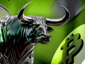 Why Bitcoin (BTC) Price Could Hit $33,000 During the Next Rally