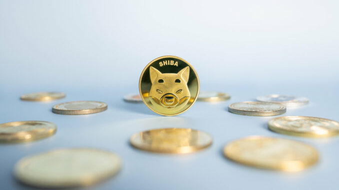 Shiba Inu plans Shibarium's public reopening after flawed launch Shiba Inu plans Shibarium's public reopening after flawed launch
